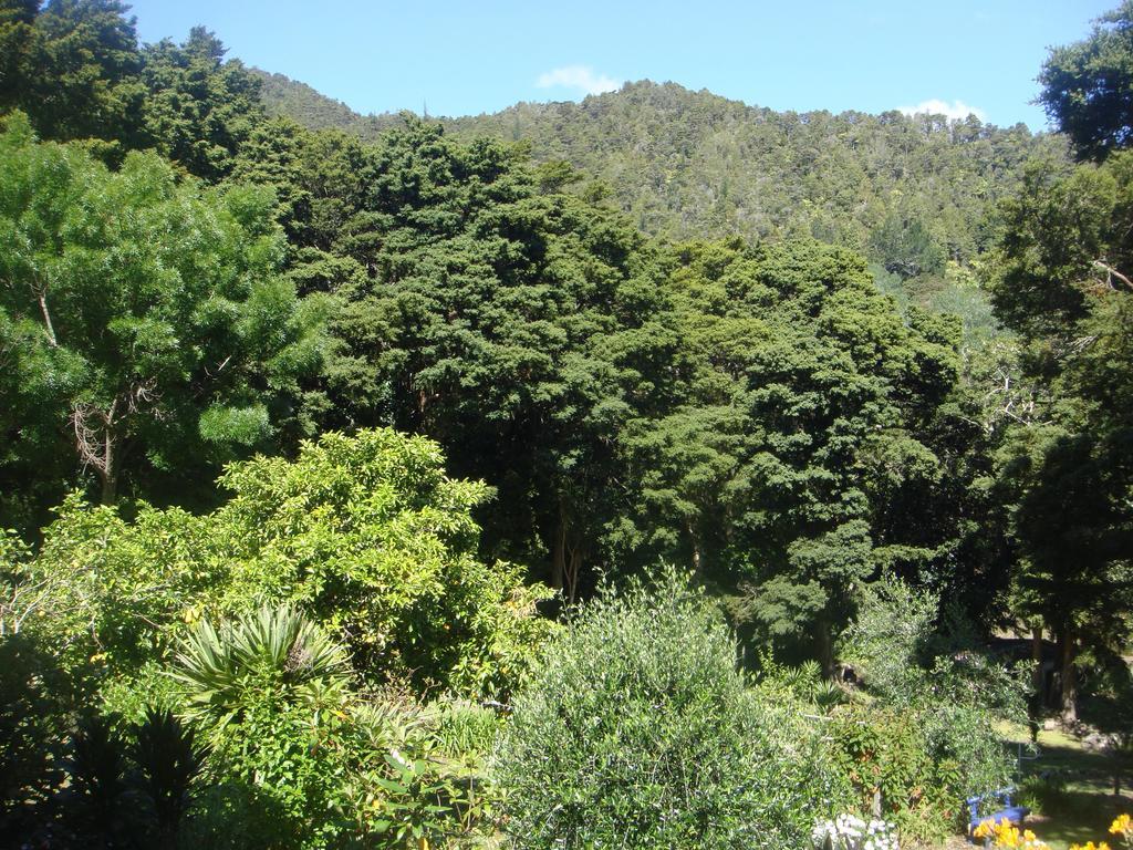 By The Park B & B Whangarei Kamer foto